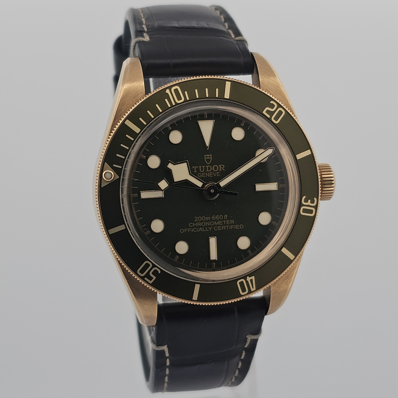 Tudor Black Bay M79018V-0001
