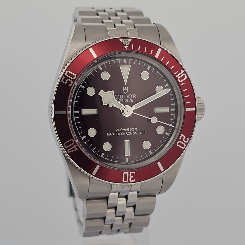 Tudor Black Bay M7939A1A0RU-001