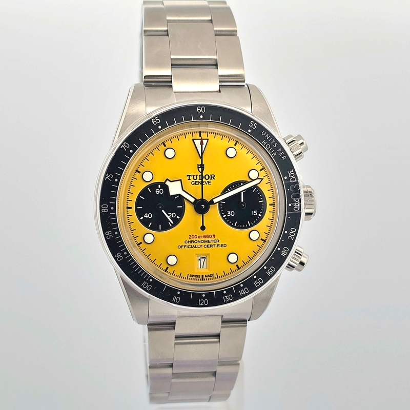 Tudor Black Bay 79310N