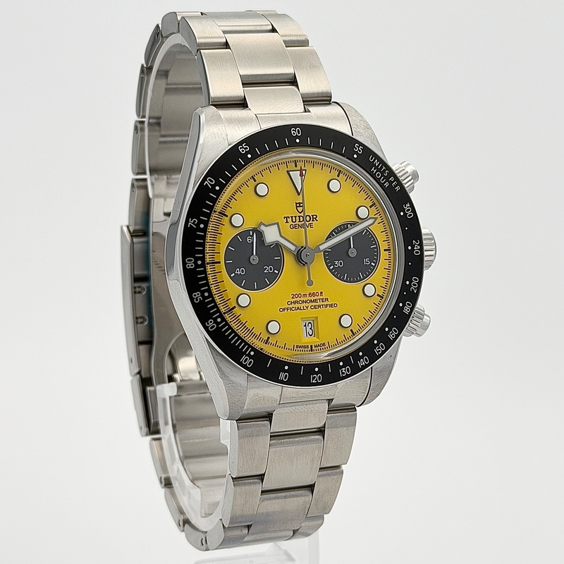 Tudor Black Bay 79310N