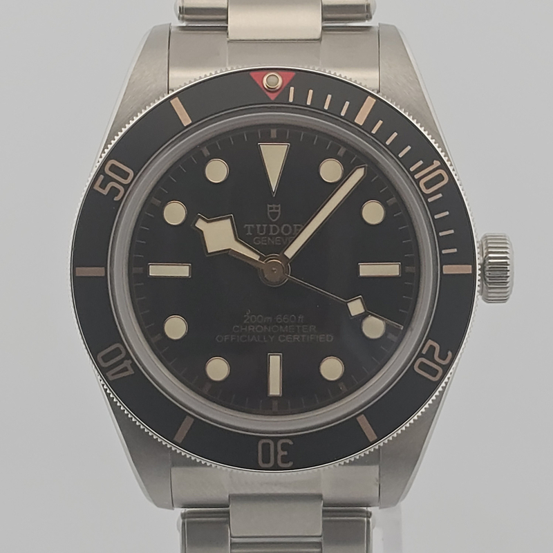 Tudor 帝舵 - 79030N
