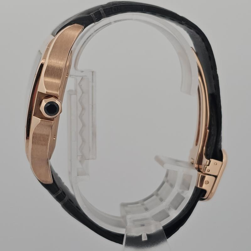 Cartier Santos De Cartier WGSA0011