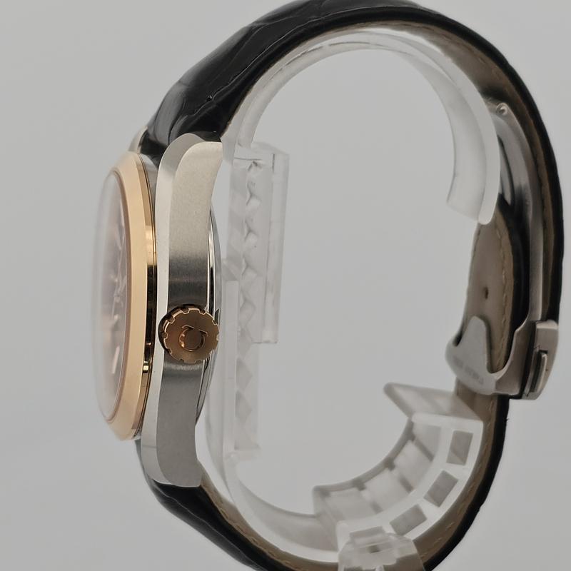 Omega Seamaster Aqua Terra 231.23.42.22.06.001